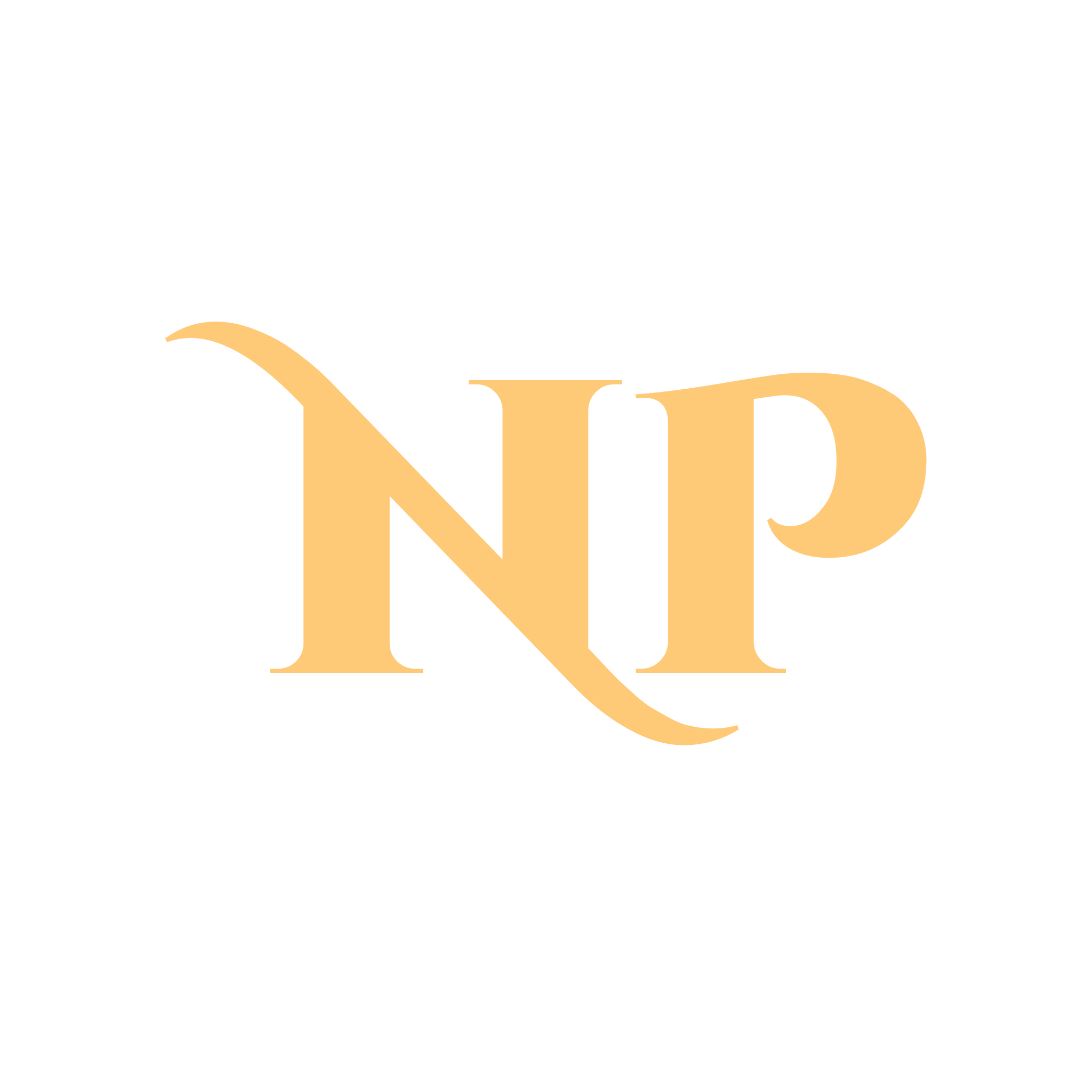 NP 1.png